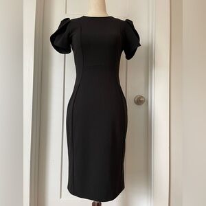 Calvin Klein Tulip Sleeve Crew Neck Sheath Dress Size 2 Womens